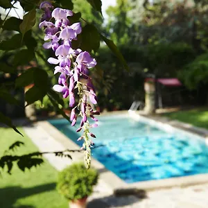 4* Hotell Park Palace